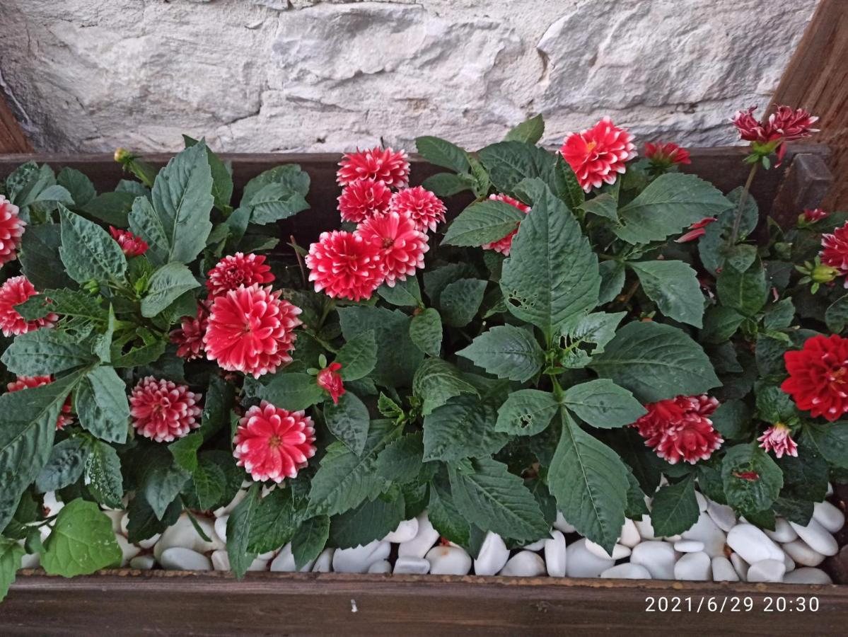 Konak Bindalli Bed & Breakfast Karabuk  Bagian luar foto