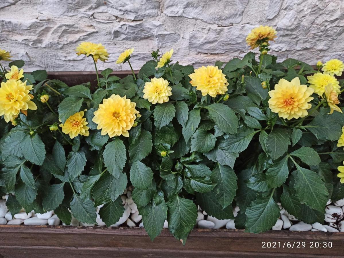 Konak Bindalli Bed & Breakfast Karabuk  Bagian luar foto