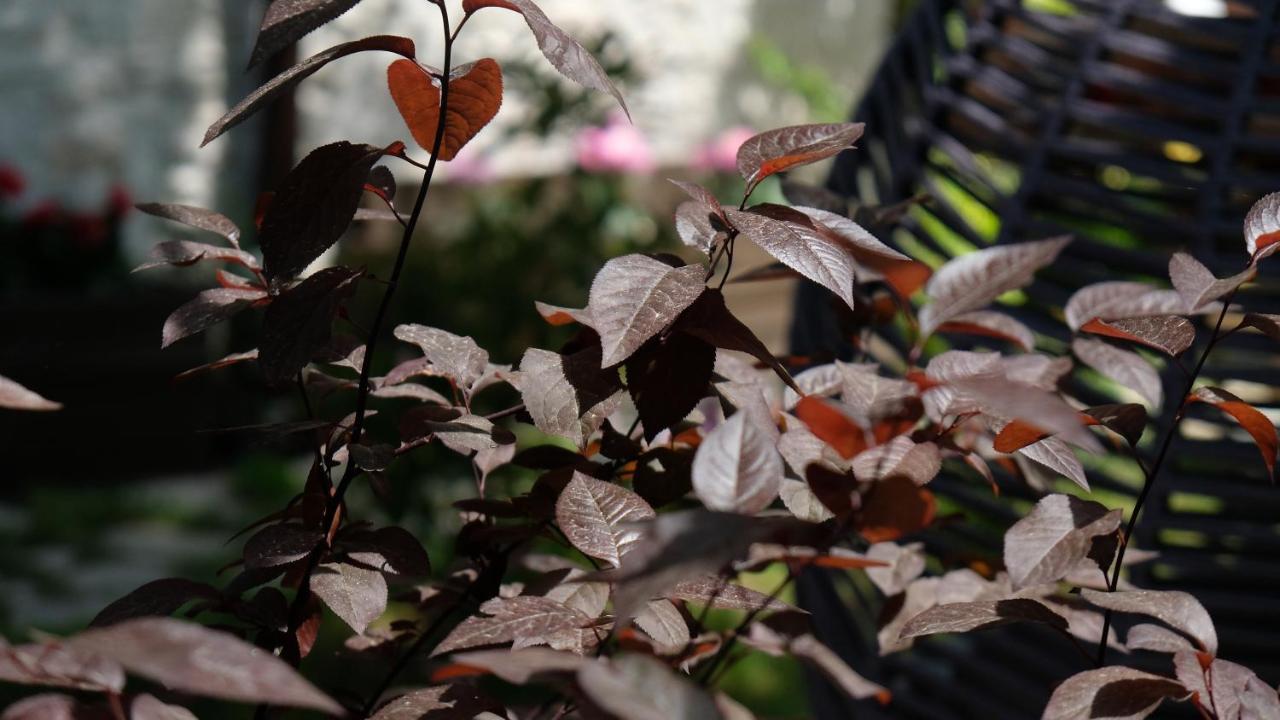 Konak Bindalli Bed & Breakfast Karabuk  Bagian luar foto